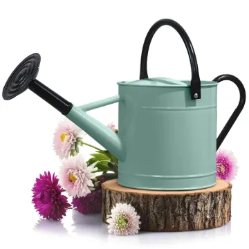 Plexon 1 Gallon Metal Watering Can Outdoor, Flower Plant Gardening Garden Large Watering Can Pot, Black Galvanized Steel Handles and Removable Spray Spout, Aqua Mist Blue1