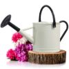 Plexon 1 Gallon Metal Watering Can Outdoor, Flower Plant Gardening Garden Large Watering Can Pot, Black Galvanized Steel Handles and Removable Spray Spout, Off-White1