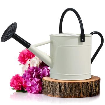Plexon 1 Gallon Metal Watering Can Outdoor, Flower Plant Gardening Garden Large Watering Can Pot, Black Galvanized Steel Handles and Removable Spray Spout, Off-White1