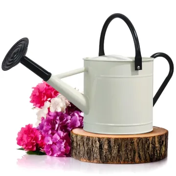 Plexon 1 Gallon Metal Watering Can Outdoor, Flower Plant Gardening Garden Large Watering Can Pot, Black Galvanized Steel Handles and Removable Spray Spout, Off-White1