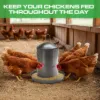 Plexon 6.6 Lb Stainless Steel Hanging Chicken Feeder no Waste Food-Grade - Poultry Feeder for Chicken Metal - Heavy Duty Reliable Long-Lasting with Handle5