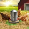 Plexon 6.6 Lb Stainless Steel Hanging Chicken Feeder no Waste Food-Grade - Poultry Feeder for Chicken Metal - Heavy Duty Reliable Long-Lasting with Handle9