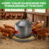 Plexon 17.6 Lb Stainless Steel Hanging Chicken Feeder no Waste Food-Grade Large - Poultry Feeder for Chicken Metal - Heavy Duty Reliable Long-Lasting with Handle5