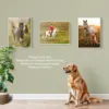 Plexon Poster Picture Frame for Wall, Picture Gallery Photo Frame 18x24, Large, White6
