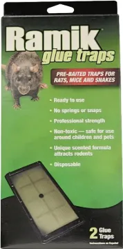 Neogen 116230 Glue Trap, Pre-Baited, Clear/Light Yellow